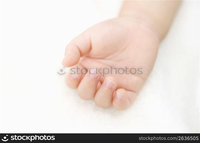 Tiny hand of baby