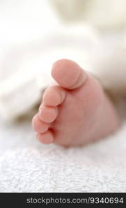 Tiny newborn baby foot close up