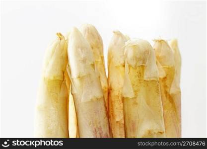 tips of white asparagus. some tips of white asparagus on white background