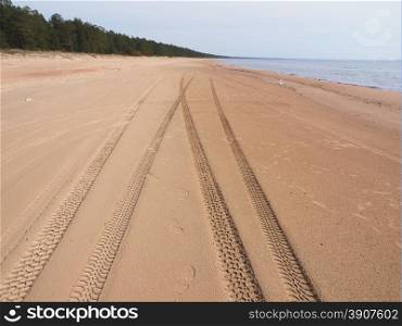 tire tracks on the sandy shore of the lake