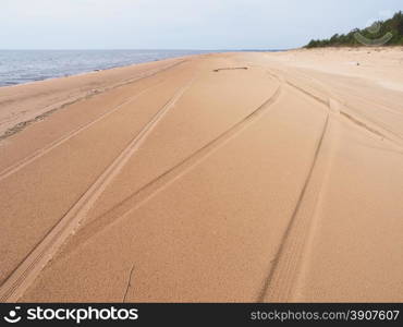 tire tracks on the sandy shore of the lake