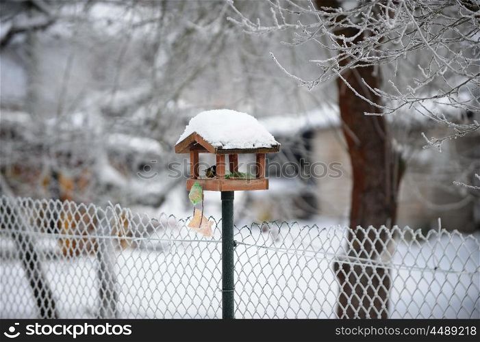 titmouse in bird feeder on fence