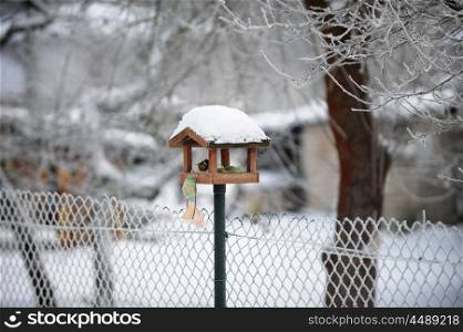 titmouse in bird feeder on fence