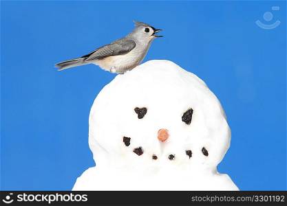 Titmouse On A Snowman