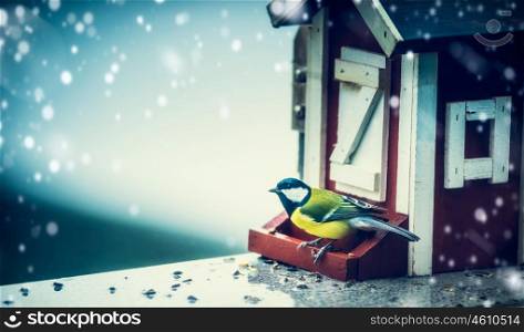 Titmouse sitting on bird feeding trough in a house and looking at camera on the background of a winter snowfall, outdoor