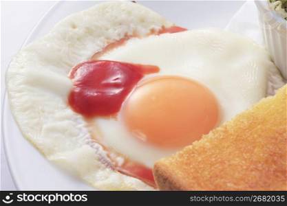Toast and egg