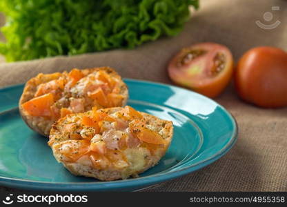Toasted bread with tomato and melted cheese with herbs