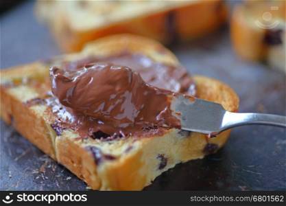 Toasted brioche slice with chocolate hazelnut spread closeup