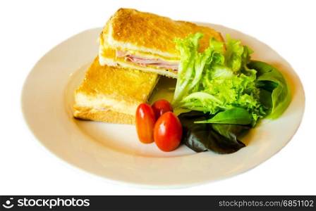 toasted ham and cheese sandwich with tomato vegetable on white background