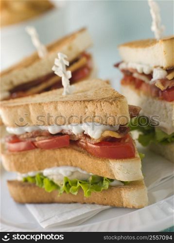 Toasted Triple Decker Club Sandwich with Fries