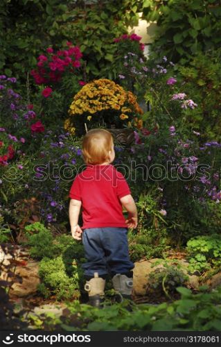Toddler admiring a beautiful blooming flower garden