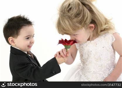 Toddler boy offering a daisy to pretty little girl to smell. Wearing suit and formal dress. Shot in studio over white