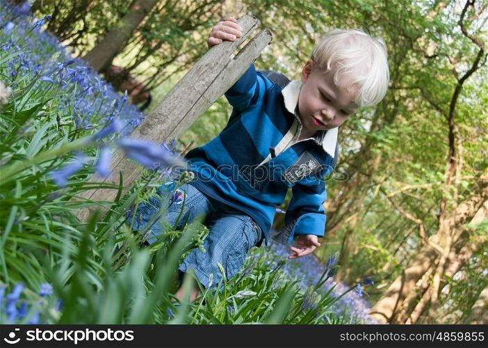 Toddler playing in a bluebell woodland