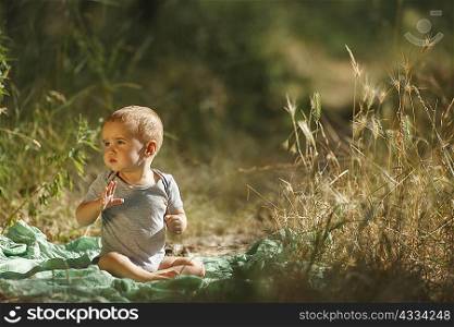 Toddler sitting on blanket in field