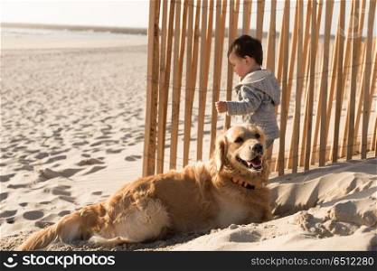 Toddler with dog on the beach. Toddler having fun with dog on the beach