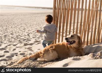 Toddler with dog on the beach. Toddler having fun with dog on the beach