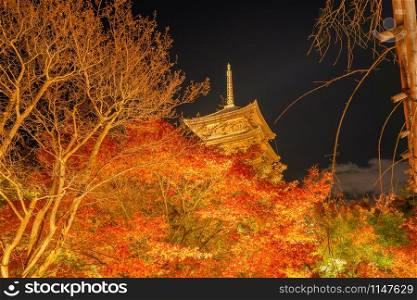 Toji Pagoda Temple with red maple leaves or fall foliage in autumn season. Colorful trees, Kyoto, Japan. Nature and architecture landscape background.