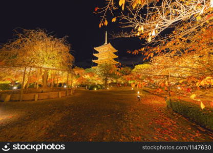 Toji Pagoda Temple with red maple leaves or fall foliage in autumn season. Colorful trees, Kyoto, Japan. Nature and architecture landscape background.