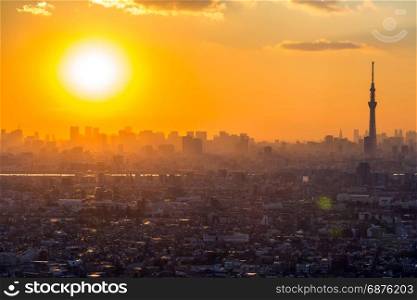 Tokyo city aerial view and mountain fuji