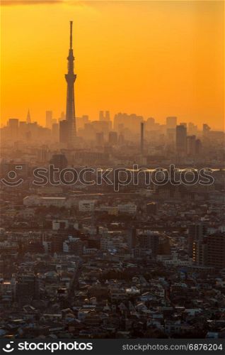 Tokyo city aerial view and mountain fuji