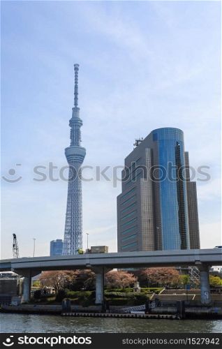 Tokyo, Japan - April 9, 2016: View of Tokyo Sky Tree, near Sumida river in Japan.