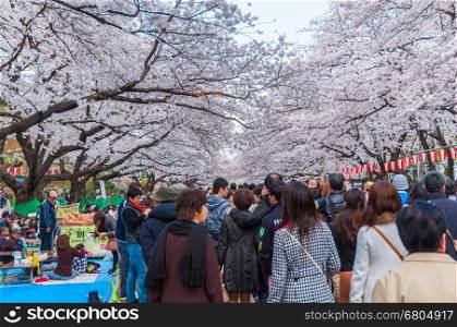 Tokyo, Japan - March 24, 2013: Tokyo Crowd enjoying Cherry blossoms festival in Ueno Park.