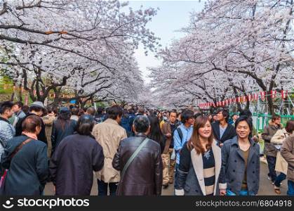 Tokyo, Japan - March 24, 2013: Tokyo Crowd enjoying Cherry blossoms festival in Ueno Park.