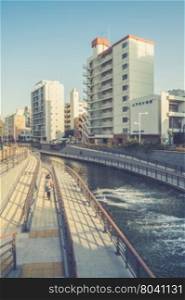 Tokyo, Japan Sumida cityscape. (Vintage filter effect used)
