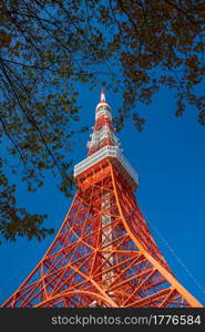 Tokyo Tower with blue sky in Japan