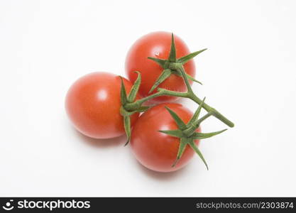 Tomato