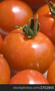 Tomato