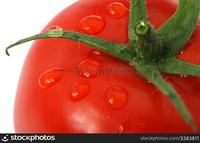 Tomato. A ripe vegetable with drops of dew.