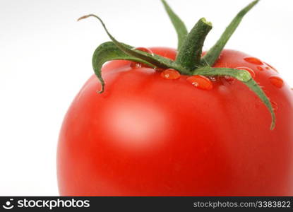 Tomato. A ripe vegetable with drops of dew.