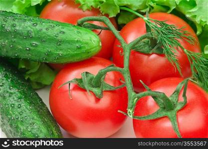 Tomato, cucumber and lettuce salad