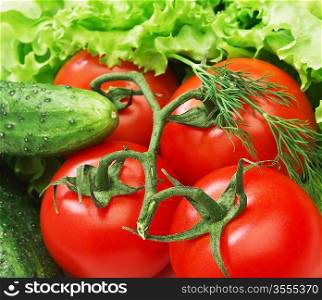 Tomato, cucumber and lettuce salad