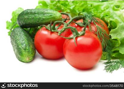 Tomato, cucumber and lettuce salad isolated on the white background