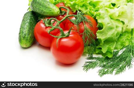 Tomato, cucumber and lettuce salad isolated on white background