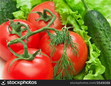 Tomato, cucumber and lettuce salad on the white background