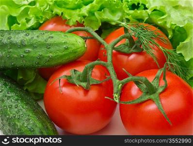 Tomato, cucumber and lettuce salad on the white background