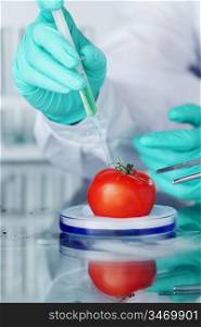 tomato DNA change microbiology experiment