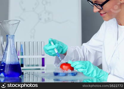 tomato DNA change microbiology experiment