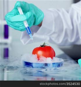 tomato DNA change microbiology experiment