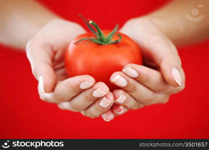 tomato in woman hands close up