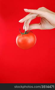 tomato in woman hands close up