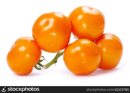 tomato isolated on a white