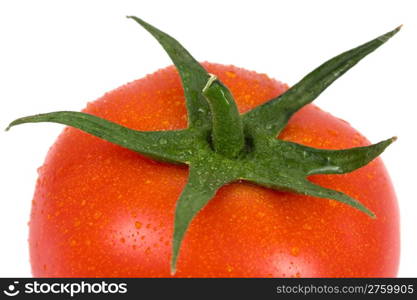 Tomato isolated on a white background