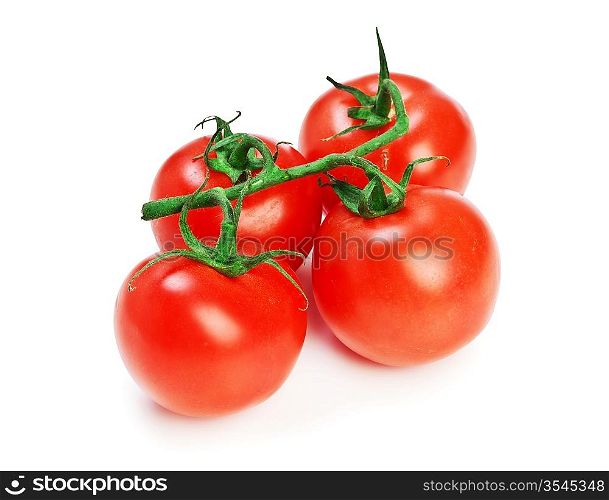 Tomato isolated on the white background
