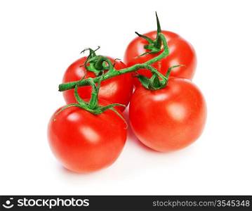 Tomato isolated on the white background