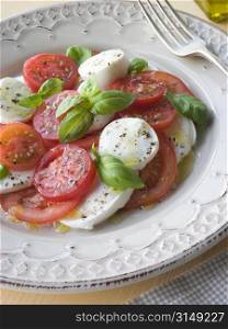 Tomato Mozzarella Cheese and Basil Salad
