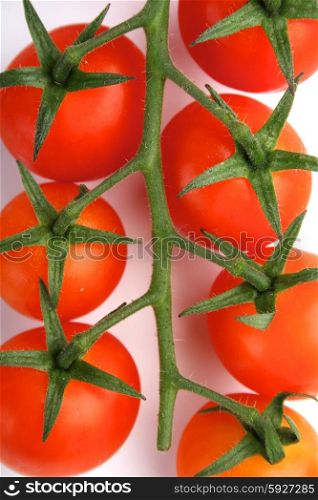 Tomato on white background - studio shot